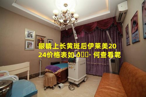 眼睛上长黄斑后伊莱美2024价格表如 🕷 何查看呢